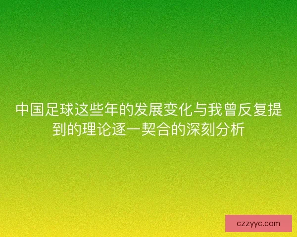 中国足球这些年的发展变化与我曾反复提到的理论逐一契合的深刻分析